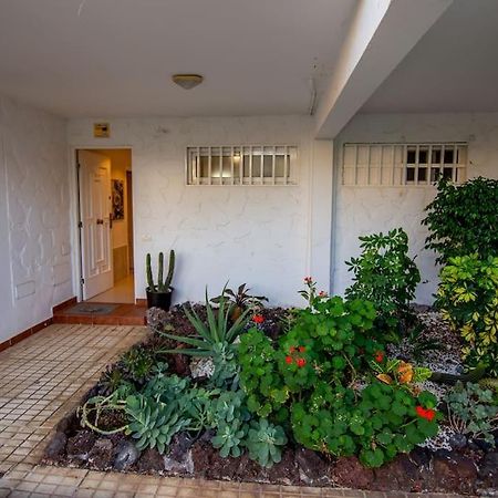 קוסטה דל סילנסיו Donna Ida Apartment מראה חיצוני תמונה