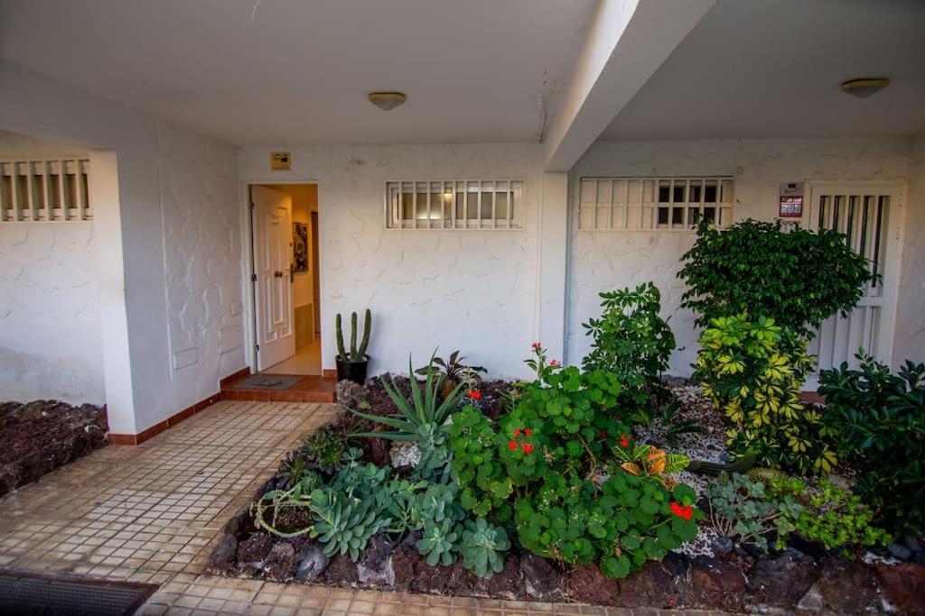 קוסטה דל סילנסיו Donna Ida Apartment מראה חיצוני תמונה